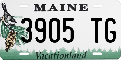 ME license plate 3905TG