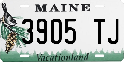 ME license plate 3905TJ