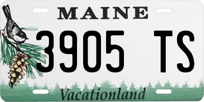 ME license plate 3905TS