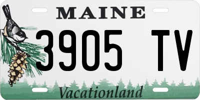 ME license plate 3905TV