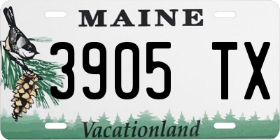 ME license plate 3905TX