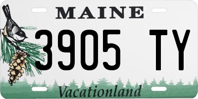 ME license plate 3905TY