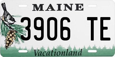 ME license plate 3906TE