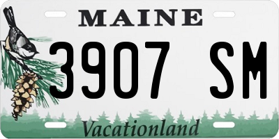 ME license plate 3907SM