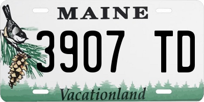 ME license plate 3907TD