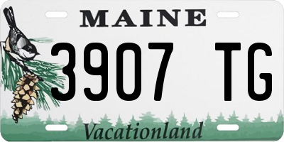 ME license plate 3907TG