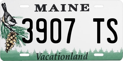 ME license plate 3907TS