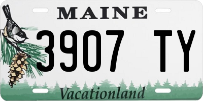 ME license plate 3907TY