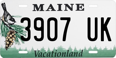 ME license plate 3907UK