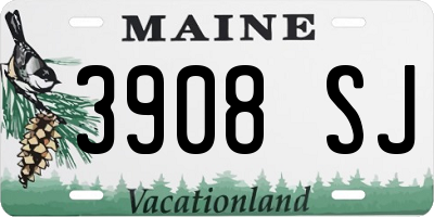 ME license plate 3908SJ