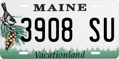 ME license plate 3908SU