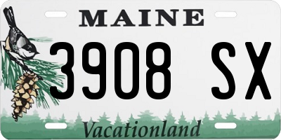 ME license plate 3908SX