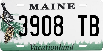 ME license plate 3908TB