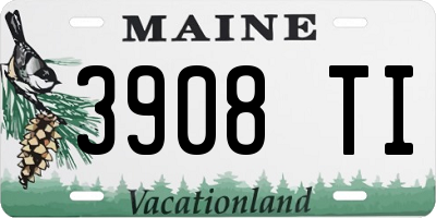ME license plate 3908TI
