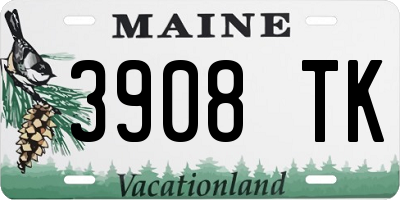 ME license plate 3908TK