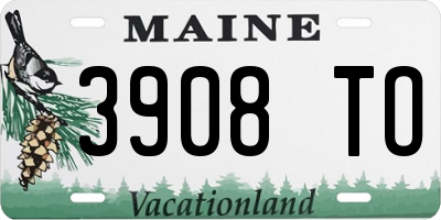 ME license plate 3908TO