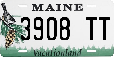 ME license plate 3908TT