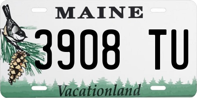 ME license plate 3908TU