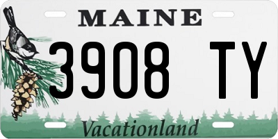 ME license plate 3908TY