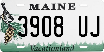 ME license plate 3908UJ