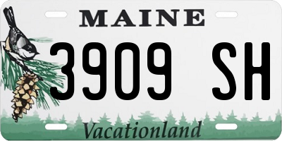 ME license plate 3909SH