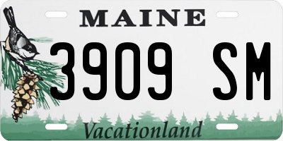 ME license plate 3909SM