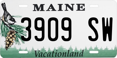 ME license plate 3909SW