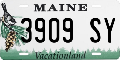 ME license plate 3909SY