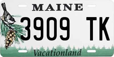 ME license plate 3909TK