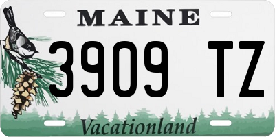 ME license plate 3909TZ