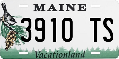 ME license plate 3910TS