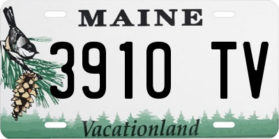 ME license plate 3910TV