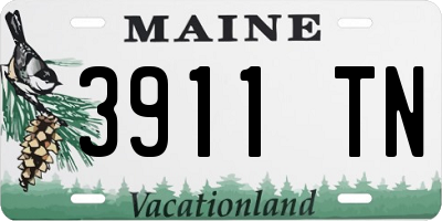 ME license plate 3911TN