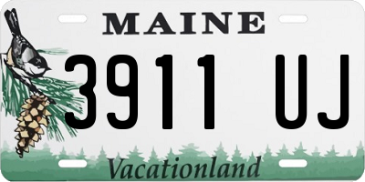 ME license plate 3911UJ