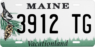 ME license plate 3912TG