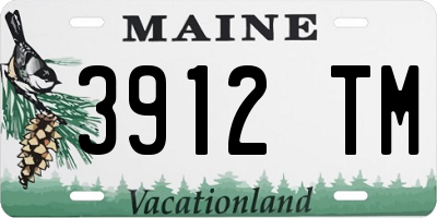 ME license plate 3912TM