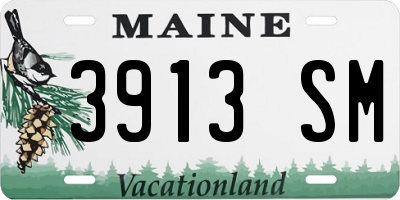 ME license plate 3913SM