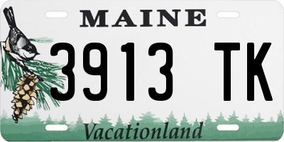 ME license plate 3913TK