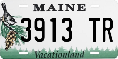 ME license plate 3913TR