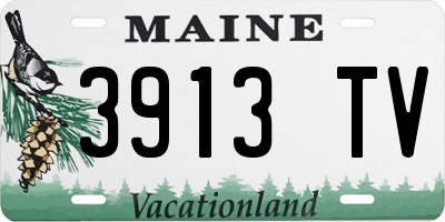 ME license plate 3913TV