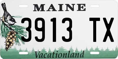 ME license plate 3913TX