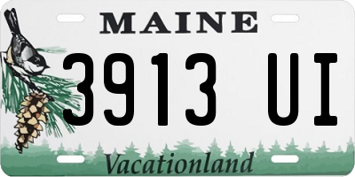 ME license plate 3913UI