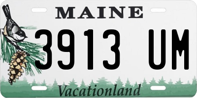 ME license plate 3913UM