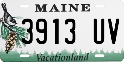 ME license plate 3913UV