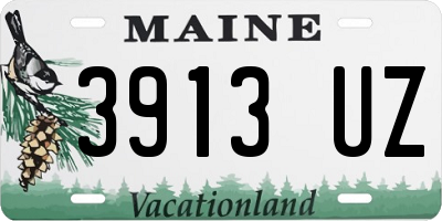 ME license plate 3913UZ