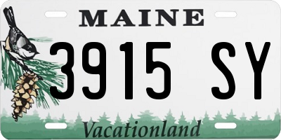 ME license plate 3915SY