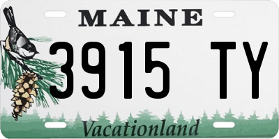 ME license plate 3915TY
