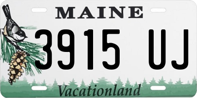ME license plate 3915UJ