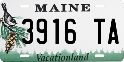 ME license plate 3916TA