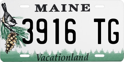 ME license plate 3916TG